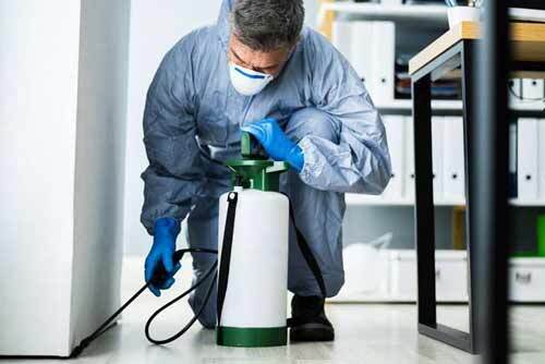 آیا سمپاشی بوی بد دارد؟ چطور آن را کنترل کنیم؟